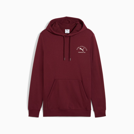 Bluza z kapturem męska Puma CLASS GRAPHIC FL bordowa 68822196