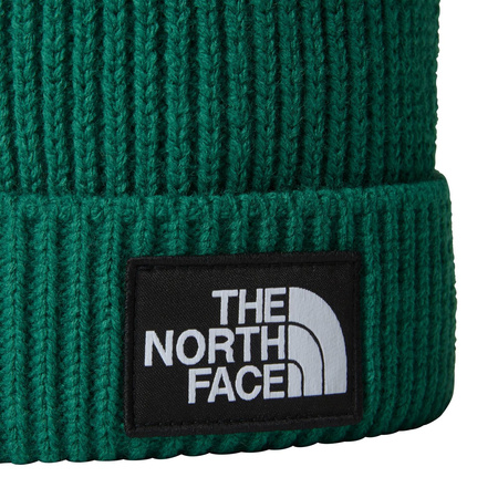 Czapka zimowa unisex The North Face LOGO BOX POM zielona NF0A3FN3NL1