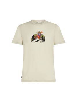 Koszulka męska Icebreaker MER 150 TECH LITE CATCH ME OUTS zielona IB0A576G01T