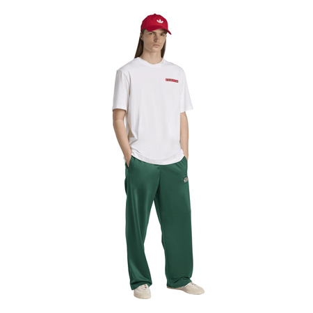 Koszulka męska adidas GRAPHIC biała JX3094