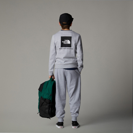 Bluza dziecięca The North Face BOX NSE REGULAR CREW szara NF0A89H7DYX