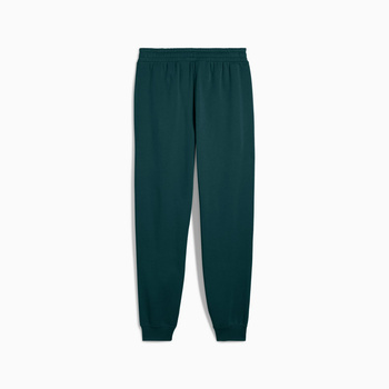 Spodnie dresowe męskie Puma ESS 2 COLOR NO.1 LOGO FL CL zielone 68471375