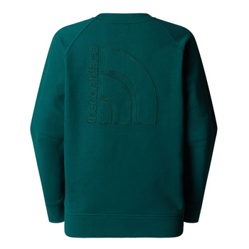 Bluza damska The North Face LOGO RMST zielona NF0A8C396GI