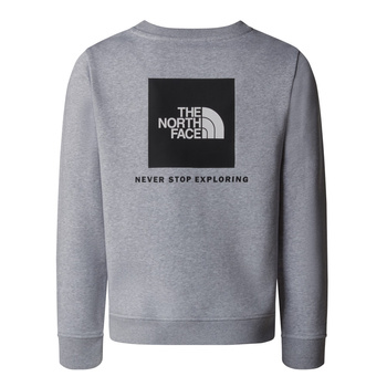 Bluza dziecięca The North Face BOX NSE REGULAR CREW szara NF0A89H7DYX