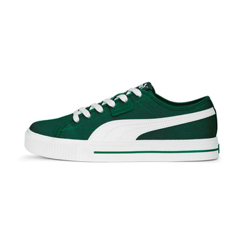Buty sportowe męskie Puma EVER FS CV zielone 38639304