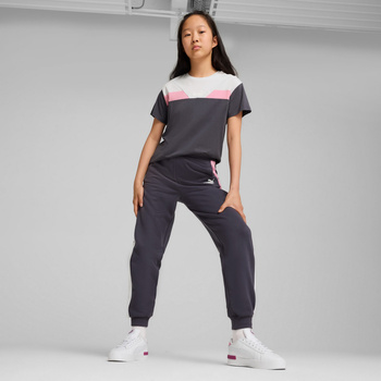 Spodnie dresowe dziewczęce Puma POWER FL szare 68178969
