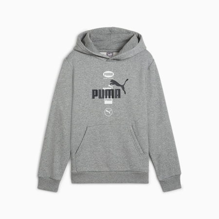 Bluza z kapturem chłopięca Puma POWER GRAPHIC FL szara 68185903