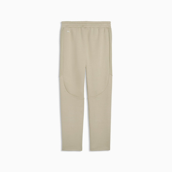 Spodnie dresowe męskie Puma EVOSTRIPE DK beżowe 69219161