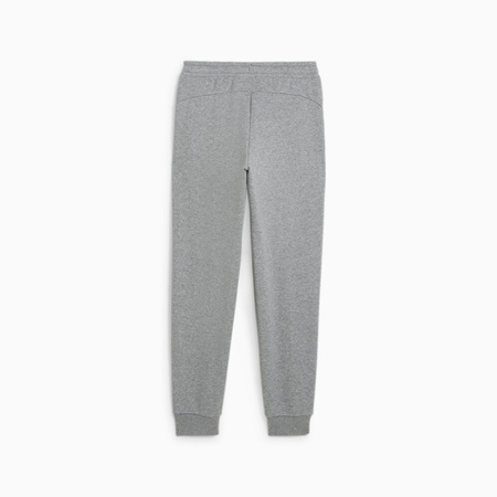Spodnie dresowe chłopięce Puma POWER GRAPHIC FL CL szare 68186003