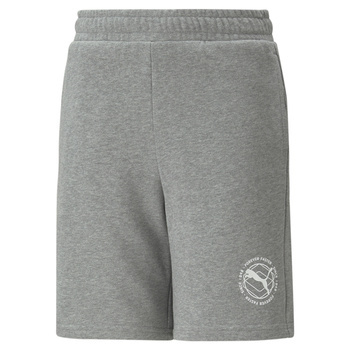 Spodenki chłopięce Puma ACTIVE SPORTS TR szare 67320703