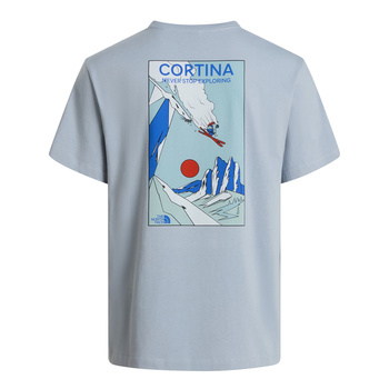 Koszulka męska The North Face MOUNTAIN CELEBRATION REGULAR niebieska NF0A8G9ZFM2