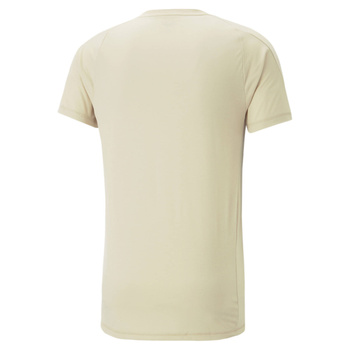 Koszulka męska Puma EVOSTRIPE beżowa 67331188