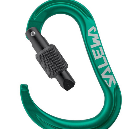 Karabinek wspinaczkowy unisex Salewa ORTLES HMS zielony 00-0000072002_5210