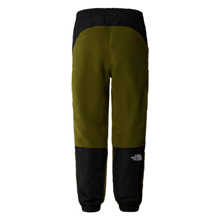 Spodnie dresowe polarowe męskie The North Face FLEESKI Y2K zielone NF0A879MPIB