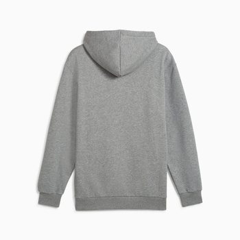 Bluza z kapturem męska Puma POWER GRAPHIC FL szara 68174103