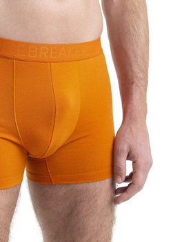 Bielizna Męska Icebreaker Anatomica Cool-Lite Boxers Majtki IB105246865