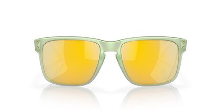 Okulary przeciwsłoneczne unisex Oakley HOLBROOK zielone OO9102-Y0