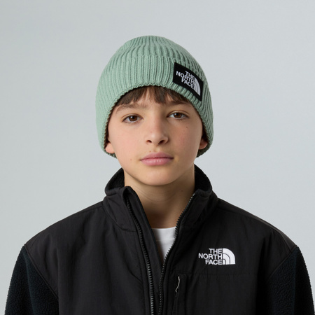 Czapka zimowa dziecięca The North Face LOGO BOX CUFFED zielona NF0A8CGUBQ1