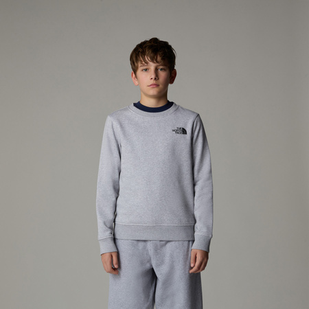 Bluza dziecięca The North Face BOX NSE REGULAR CREW szara NF0A89H7DYX