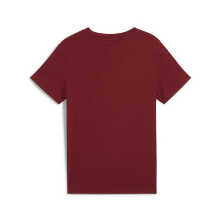 Koszulka chłopięca Puma SQUAD SMALL GRAPHIC czerwona 68277313
