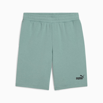 Spodenki męskie Puma ESS NO. 1 LOGO 10'' zielone 68259530