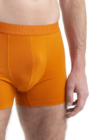 Bielizna Męska Icebreaker Anatomica Cool-Lite Boxers Majtki IB105246865