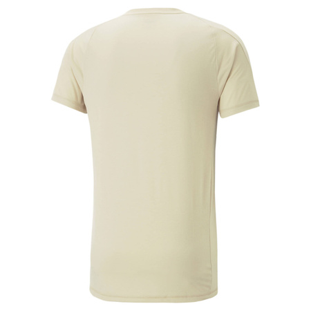 Koszulka męska Puma EVOSTRIPE beżowa 67331188