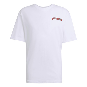 Koszulka męska adidas GRAPHIC biała JX3094