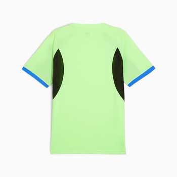 Koszulka męska Puma INDIVIDUALLIGA JERSEY zielona 65952602