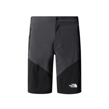 Spodenki męskie The North Face FELIK SLIM TAPERED szare NF0A825XK1C