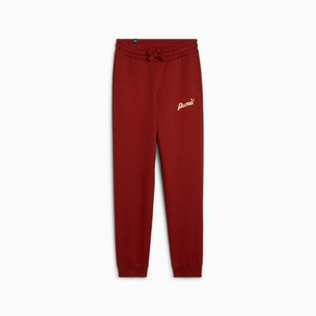 Spodnie dresowe dziewczęce Puma ESS+ SCRIPT METALLIC FL czerwone 68279913