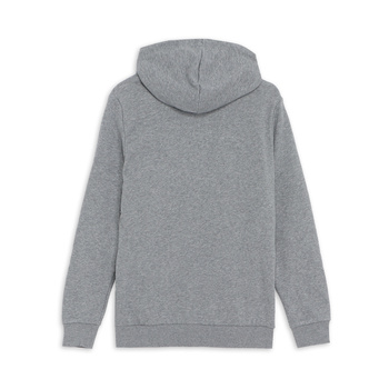 Bluza z kapturem męska Puma ESS FZ szara 84721903