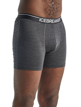 Bokserki męskie Icebreaker ANATOMICA szare IB103029011