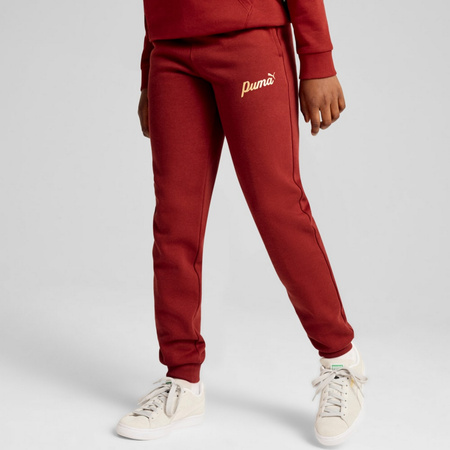 Spodnie dresowe dziewczęce Puma ESS+ SCRIPT METALLIC FL czerwone 68279913