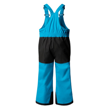 Spodnie narciarskie dziecięce The North Face FREEDOM INSULATED niebieskie NF0A88VMD7R