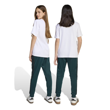 Spodnie dresowe dziecięce adidas SST zielone JV8569