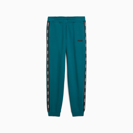Spodnie dresowe chłopięce Puma NEW TAPE FL CL zielone 69265822