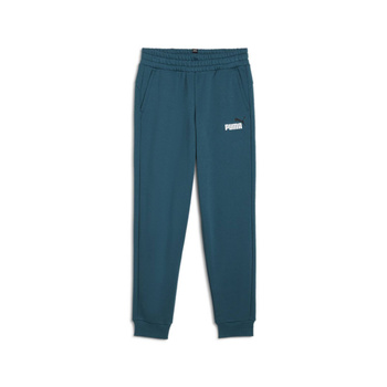 Spodnie dresowe chłopięce Puma ESS+ 2 COL LOGO FL zielone 58698808