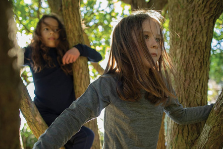 Longsleeve termiczny dziecięcy Icebreaker 260 TECH szary IB104501013