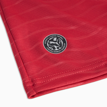 Koszulka męska Puma FPF HOME JERSEY REPLICA PLAYER CLUB czerwona 78814177