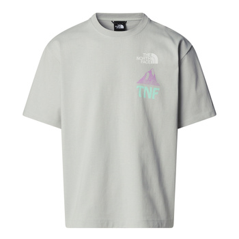 Koszulka męska The North Face HAVEN N EARTH szara NF0A8CKKA0M