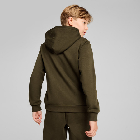 Bluza z kapturem chłopięca Puma POWER GRAPHIC FL zielona 68185970