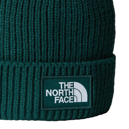 Czapka zimowa unisex The North Face LOGO BOX zielona NF0A3FJX68L