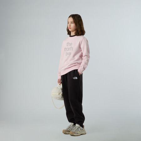 Bluza dziewczęca The North Face REFLECTIVE LOGO RELAXED CREW różowa NF0A8EAPBP6