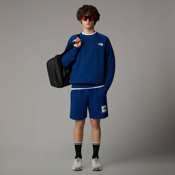Spodenki męskie The North Face BOX NSE REGULAR niebieskie NF0A8C1JH4B