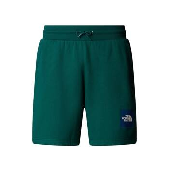 Spodenki męskie The North Face BOX NSE REGULAR zielone NF0A8C1JA1B
