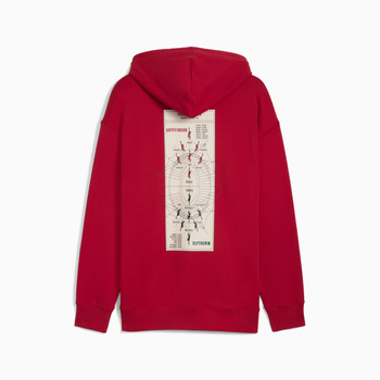 Bluza z kapturem męska Puma X HARRY POTTER RELAXED GRAPHIC bordowa 63009313