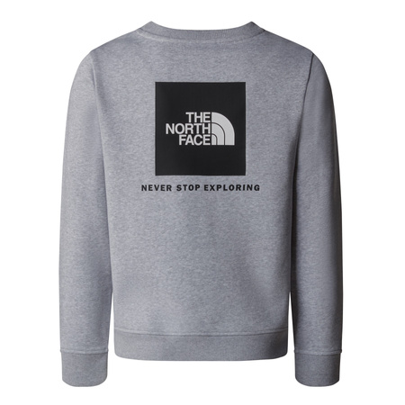 Bluza dziecięca The North Face BOX NSE REGULAR CREW szara NF0A89H7DYX