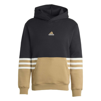 Bluza z kapturem męska adidas ARCHIVE wielokolorowa JY2797