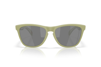 Okulary przeciwsłoneczne unisex Oakley FROGSKINS zielone OO9013-M2